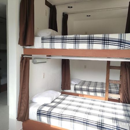The All Inclusive Hostel - Food, Drinks And Transportation To The Beach And Cenotes 툴룸 객실 사진