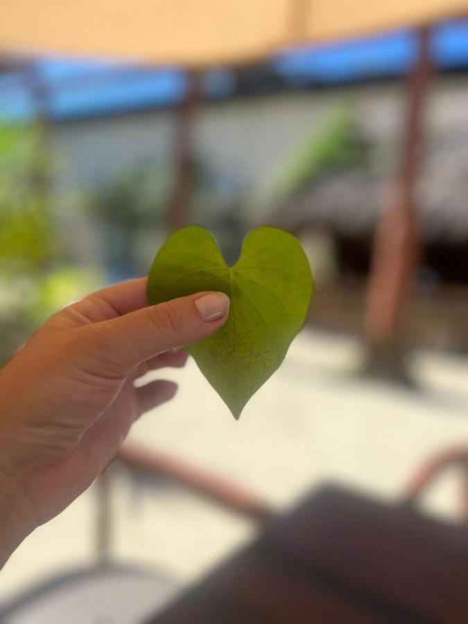 The All Inclusive Hostel - Food, Drinks And Transportation To The Beach And Cenotes 툴룸 외부 사진