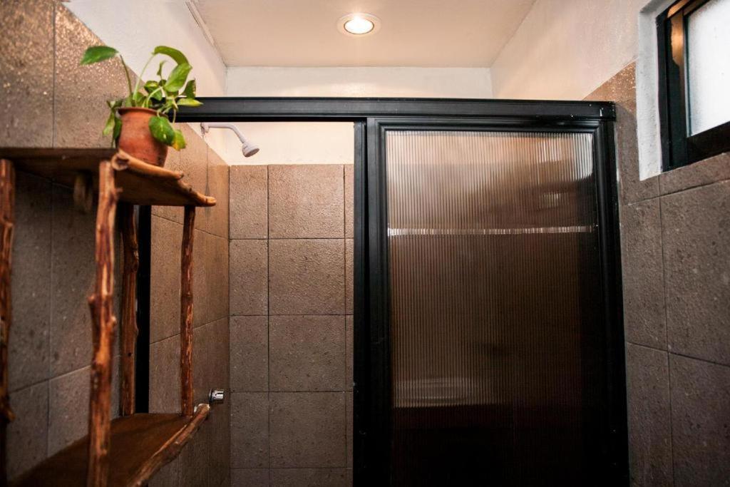 The All Inclusive Hostel - Food, Drinks And Transportation To The Beach And Cenotes 툴룸 외부 사진